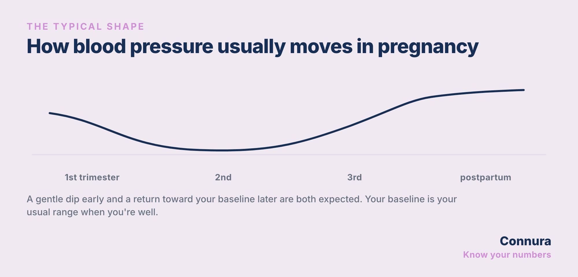 Line chart titled How blood pressure usually moves in pregnancy, showing a gentle dip from the first trimester through the second and a rise through the third trimester and postpartum, with a note that a return toward your baseline later is expected.